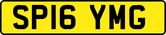 SP16YMG