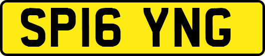 SP16YNG