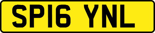 SP16YNL