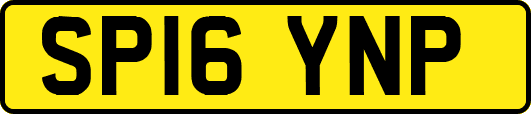 SP16YNP