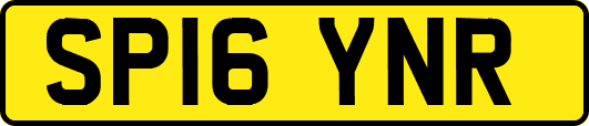 SP16YNR