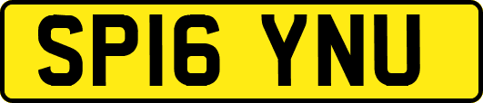 SP16YNU