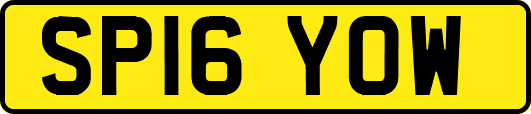 SP16YOW