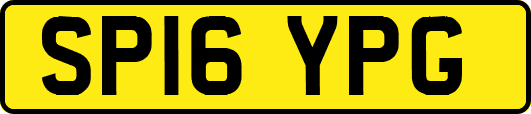 SP16YPG