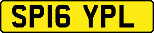 SP16YPL
