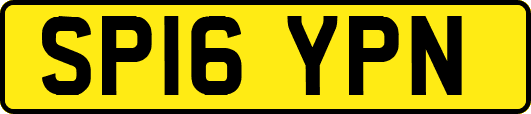 SP16YPN