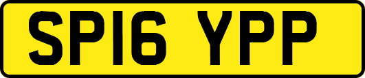 SP16YPP