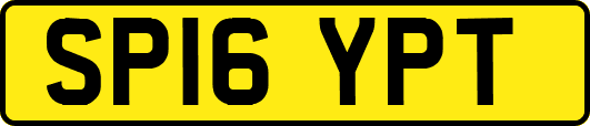 SP16YPT