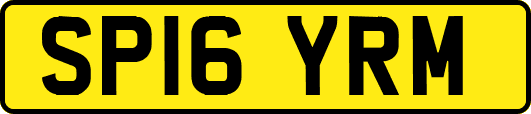 SP16YRM
