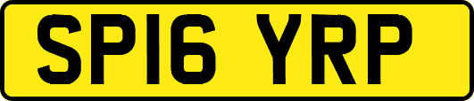 SP16YRP