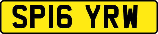 SP16YRW