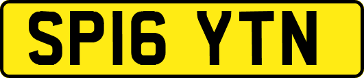 SP16YTN