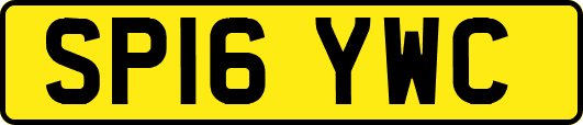 SP16YWC