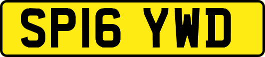 SP16YWD