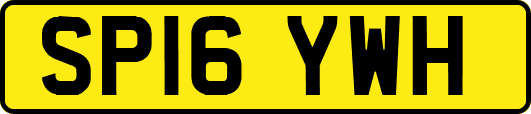 SP16YWH