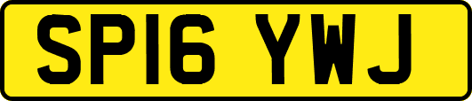 SP16YWJ