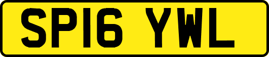 SP16YWL