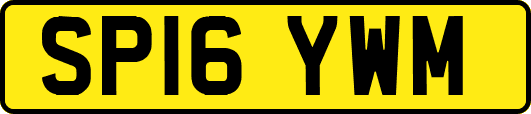 SP16YWM