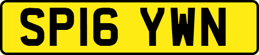 SP16YWN