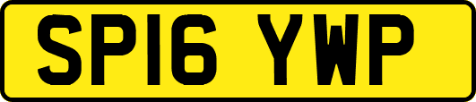 SP16YWP