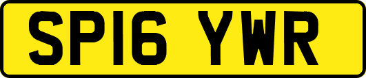 SP16YWR