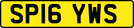 SP16YWS