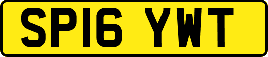 SP16YWT
