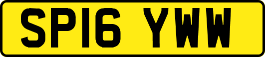 SP16YWW
