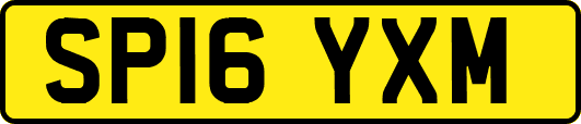 SP16YXM