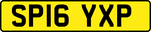 SP16YXP