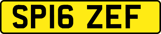 SP16ZEF