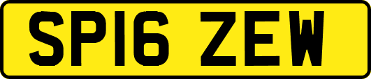 SP16ZEW
