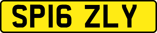 SP16ZLY