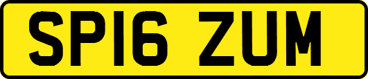 SP16ZUM
