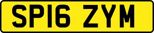 SP16ZYM