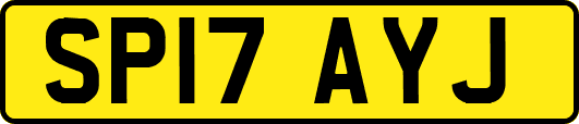 SP17AYJ