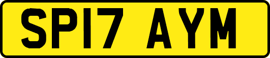 SP17AYM
