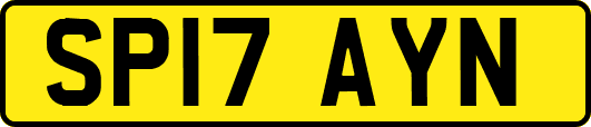 SP17AYN