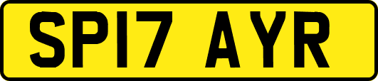 SP17AYR