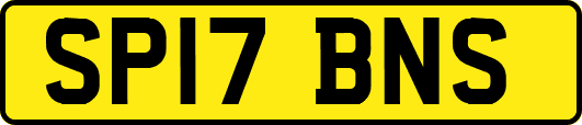SP17BNS
