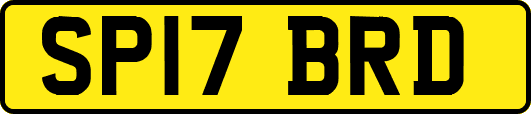 SP17BRD
