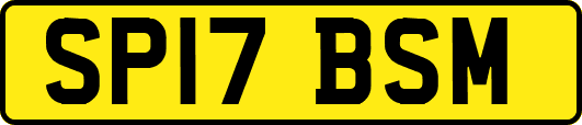 SP17BSM