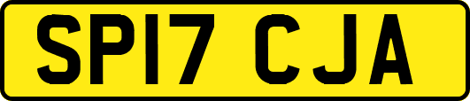 SP17CJA