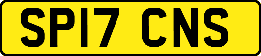 SP17CNS