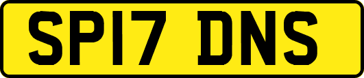 SP17DNS