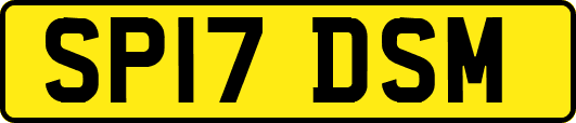 SP17DSM