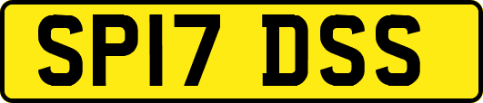 SP17DSS