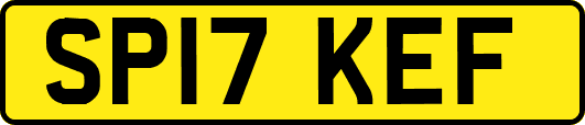 SP17KEF