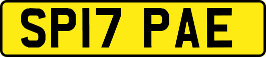 SP17PAE
