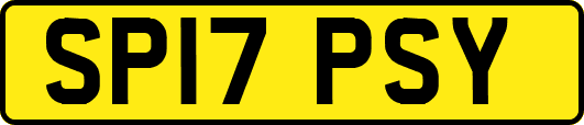 SP17PSY